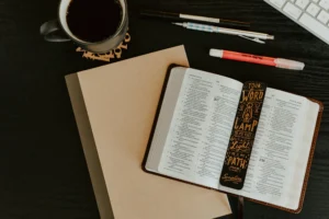 Why The Bookmark is a Must-Have for Licensure Compliance: Insights from Our Members