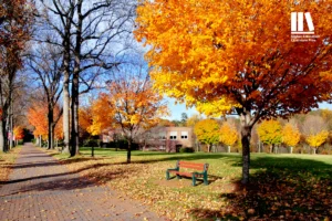 Your Fall Licensure Compliance Checklist